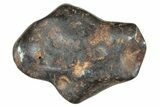 Canyon Diablo Iron Meteorite ( grams) - Arizona #243145-1